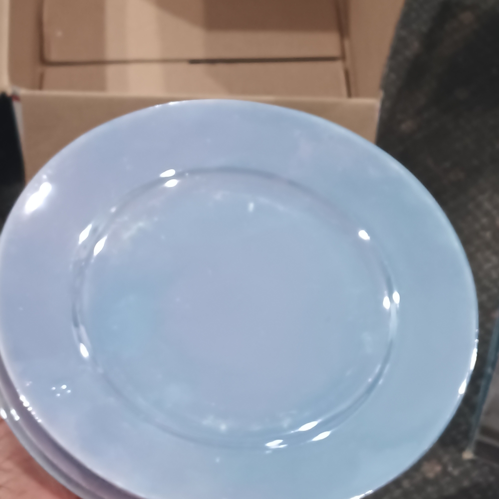 Elegant Blue Dinner Plate Set